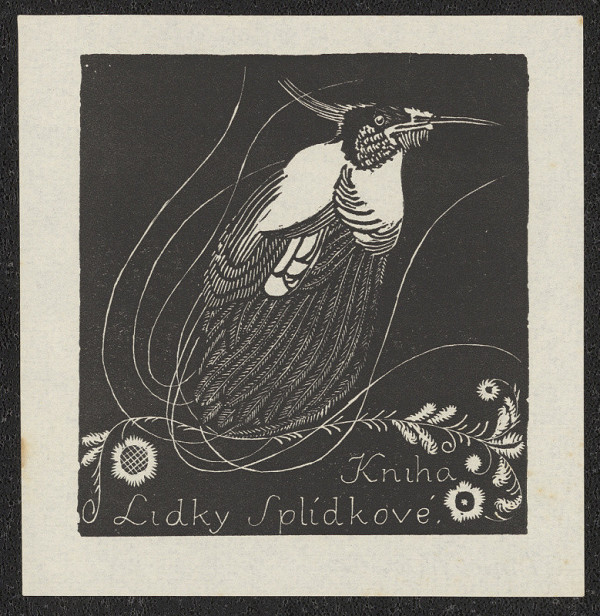 Anna Macková – Kniha Lidky Splídkové 