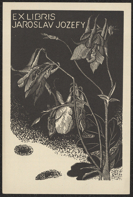 Anna Macková – Ex libris Jaroslav Jozefy 