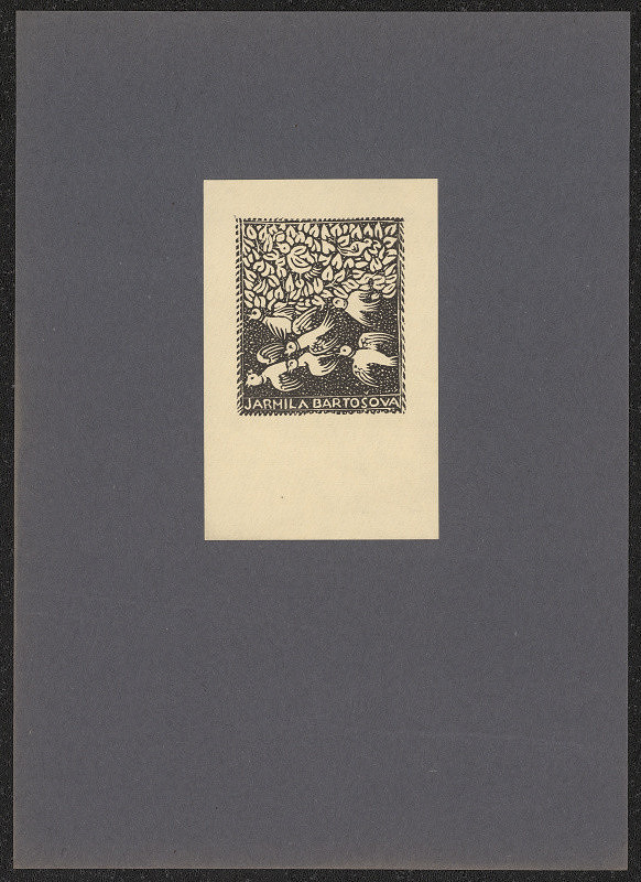 Anna Macková – Jarmila Bartošová 