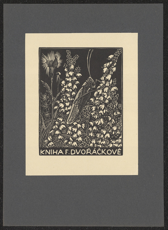 Anna Macková – Kniha F. Dvořáckové 