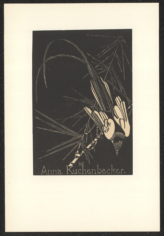 Anna Macková – Anna Kuchenbecker 