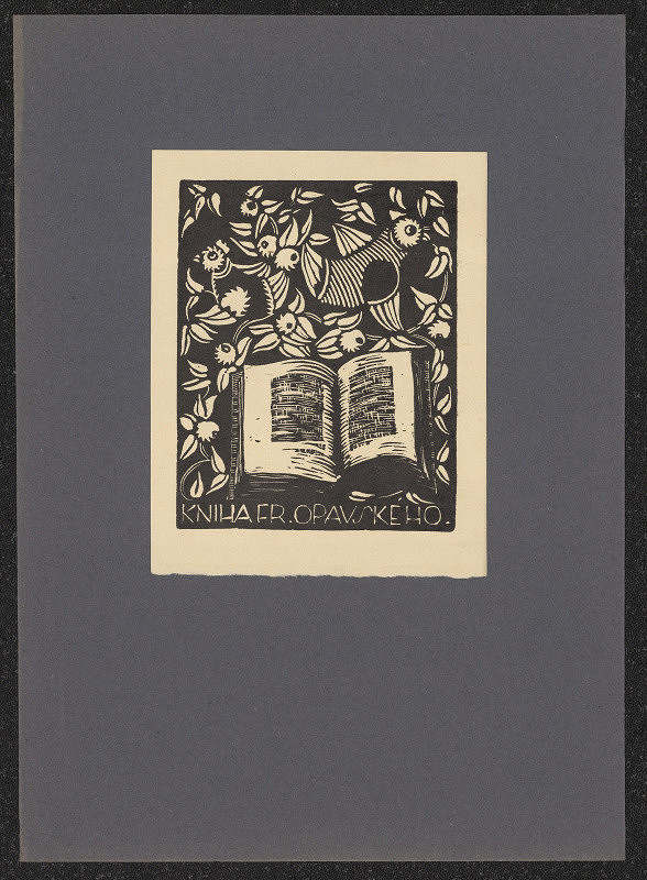 Anna Macková – Kniha Fr. Opavského 