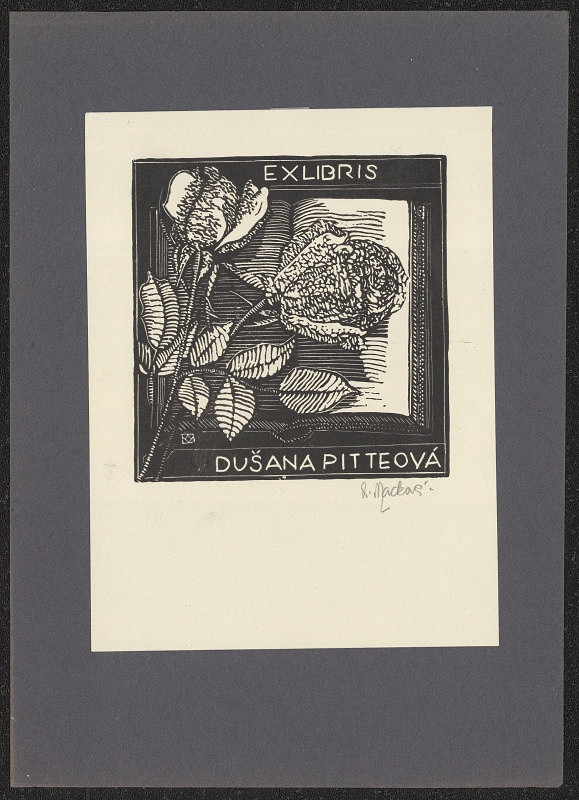 Anna Macková – Ex libris Dušana Pitteová 
