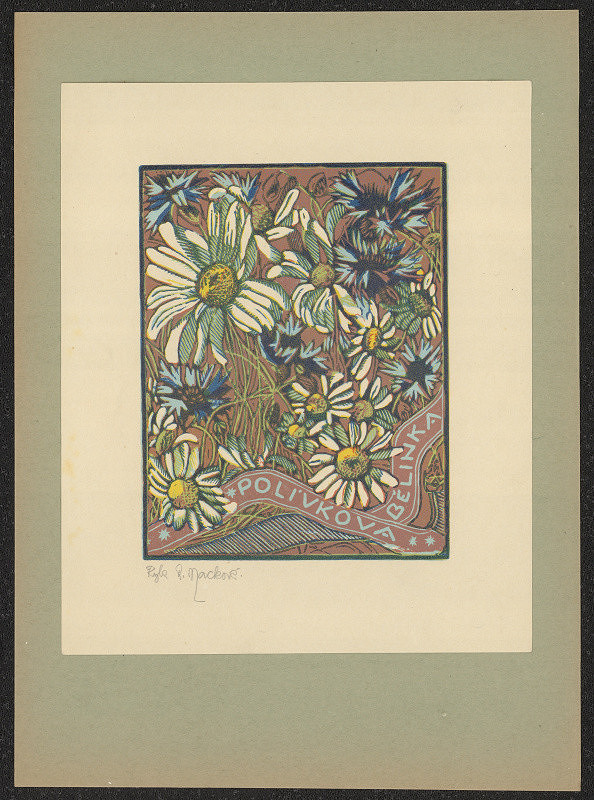 Anna Macková – Polívkova Bělinka 