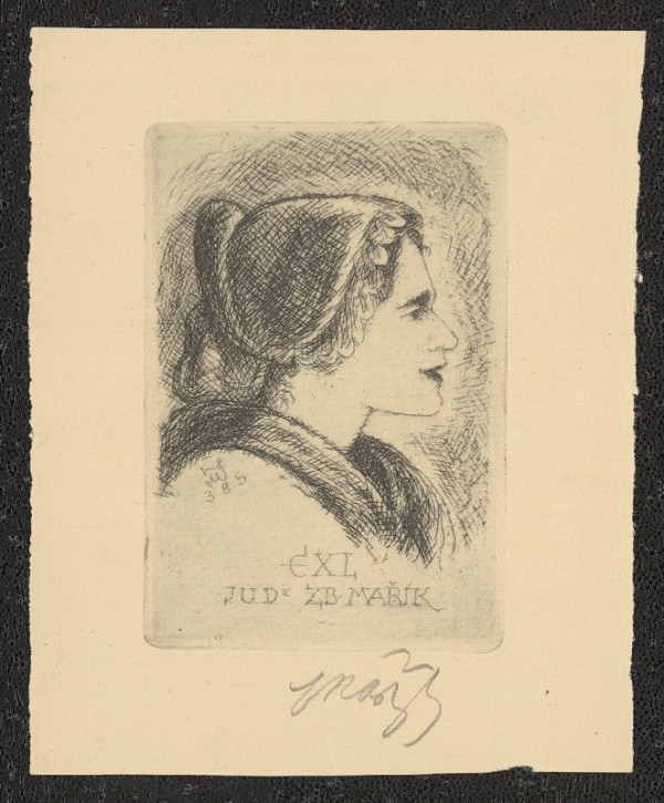 Jaroslav Mařík – EXL JUDr. Zb. Mařík 