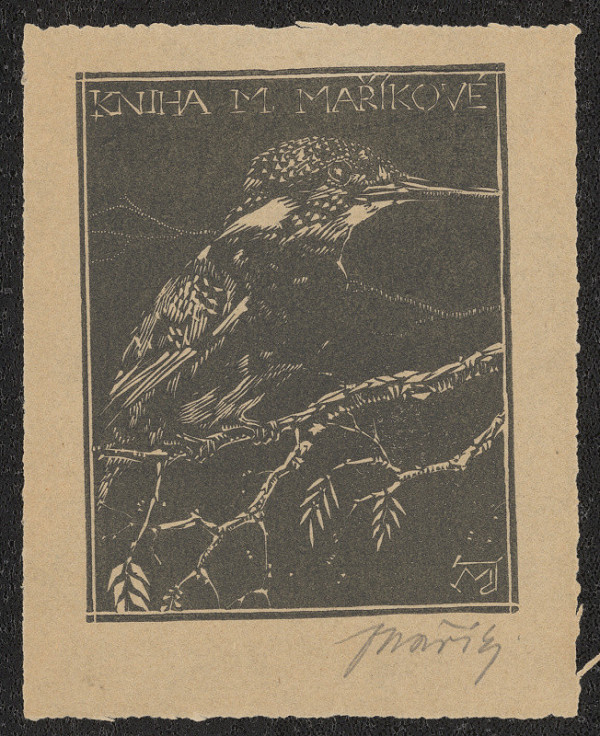 Jaroslav Mařík – Kniha M. Maříkové 