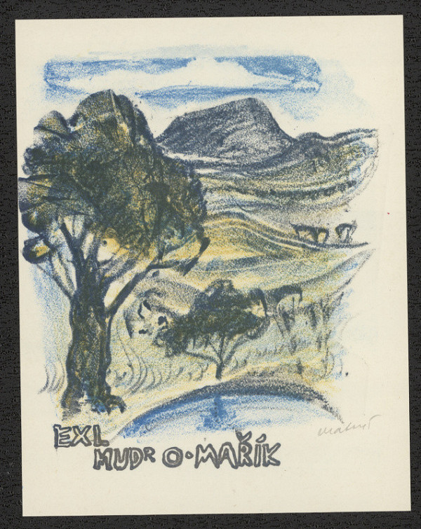 Miroslav Matouš – EXL MUDr. O. Mařík 