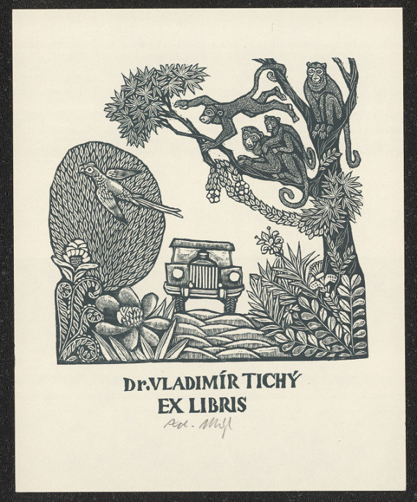 Zdeněk Mézl – Dr. Vladimír Tichý Ex libris 