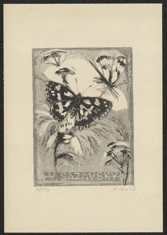 František Bič – V. Sázavský 