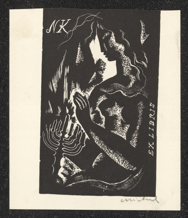 Rastislav Michal – Ex libris N K 