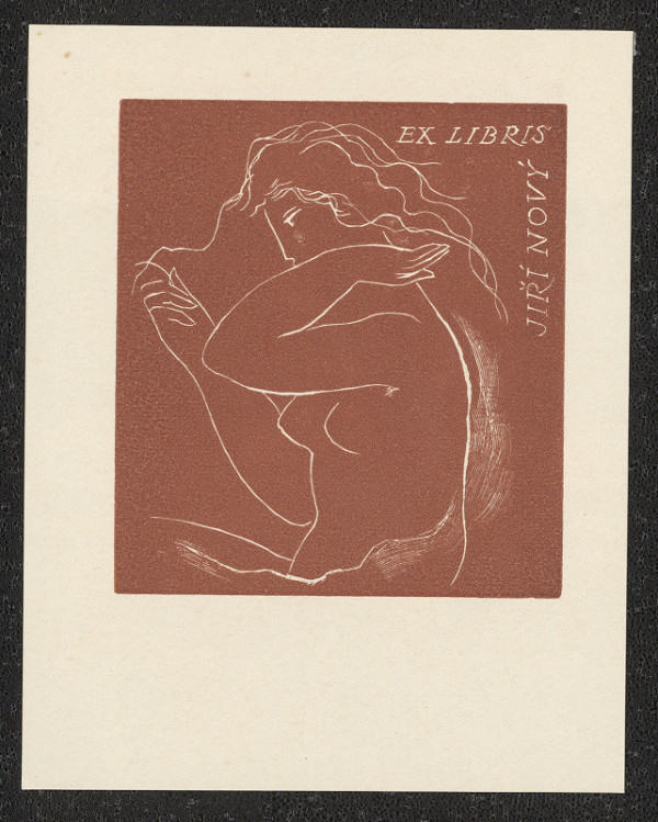 Rastislav Michal – Ex libris Jiří Nový 