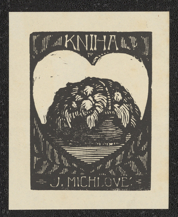 František Michl – Kniha J. Michlové 