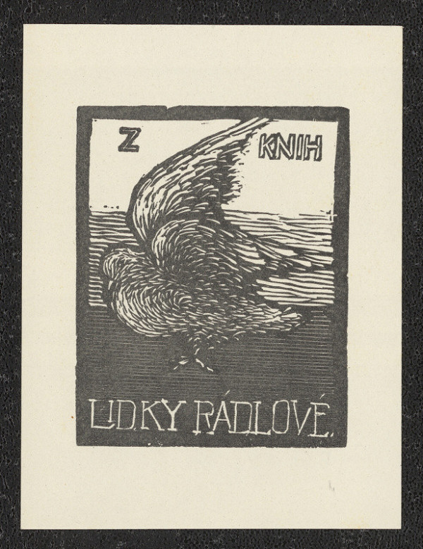 František Michl – Z knih Lidky Rádlové 