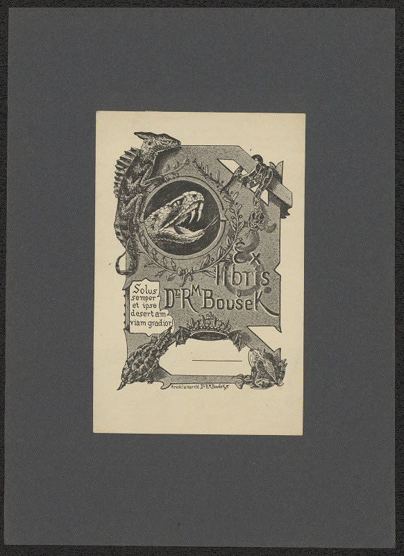 Rafael Maria Boušek – Exlibris Dr. R.M.Boušek 