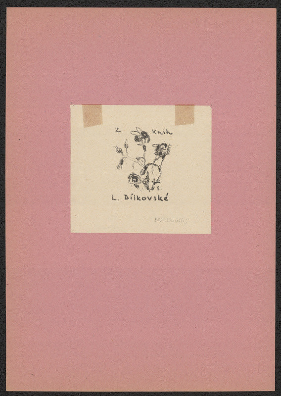 František Bílkovský – Z knih L. Bílkovské 