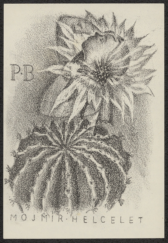 Dobroslava Bilovská – P.B. Mojmír Helcelet 