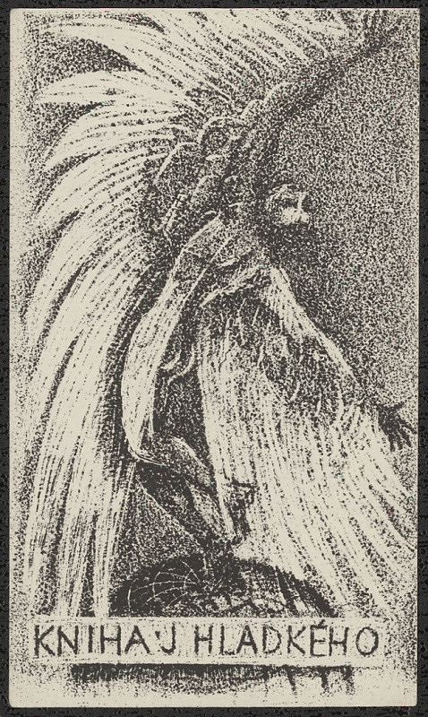 Dobroslava Bilovská – Kniha J. Hladkého 