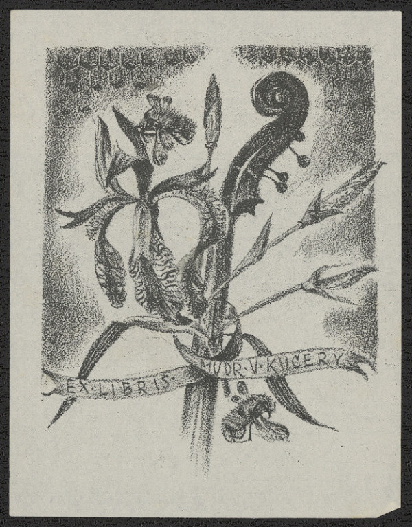 Dobroslava Bilovská – Exlibris MUDr. V. Kučery 