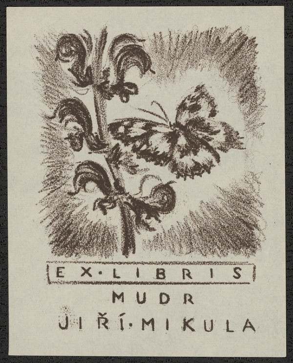 Dobroslava Bilovská – MUDr. Jiří Mikula 