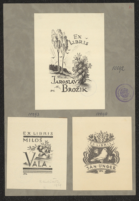 Rudolf (Ruda) Kubíček – Jan Unger 