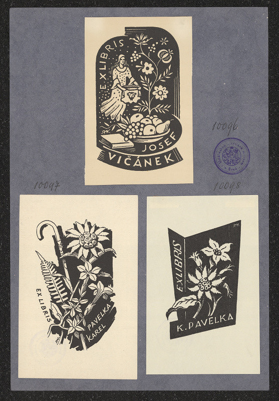 Rudolf (Ruda) Kubíček – Josef Vičánek 