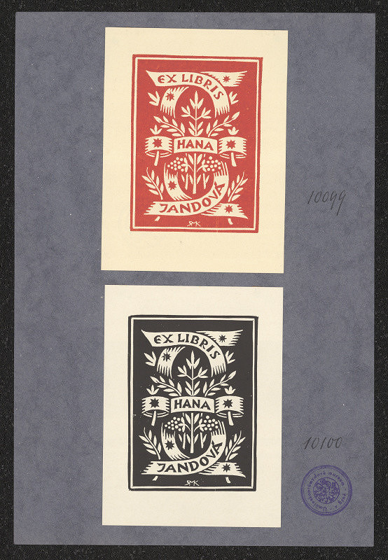 Rudolf (Ruda) Kubíček – Hana Jandová 