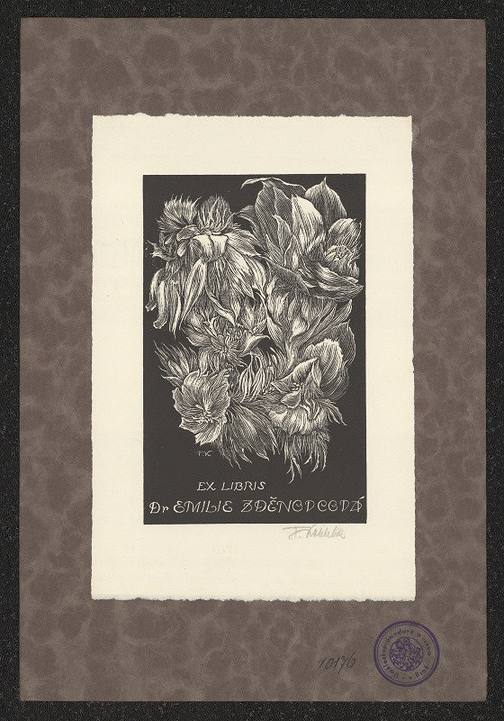 František Kobliha – Dr. Zděrovcová Emilie 