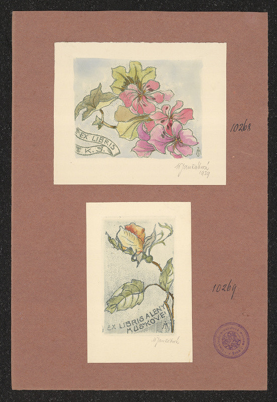 M. Jančáková – Mušková Alena 