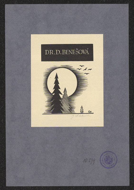 Josef Chlebeček – Dr. Benešová D. 