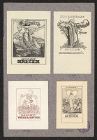 Antonín Häusler – Rodina Veselských 