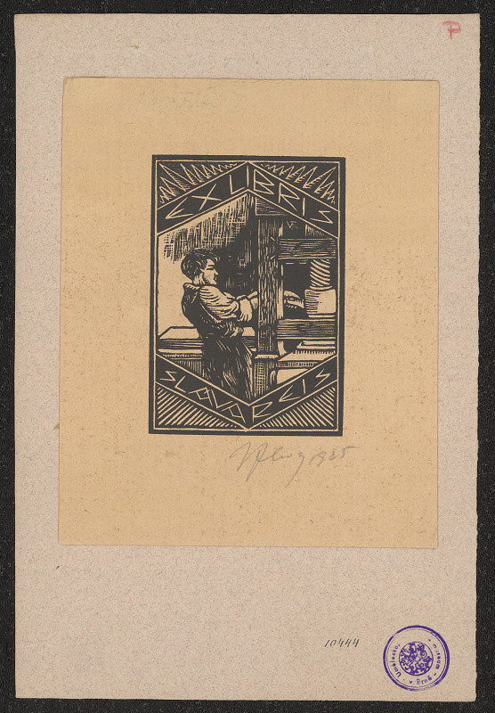 Vítězslav Fleissig – Sláva Reis 