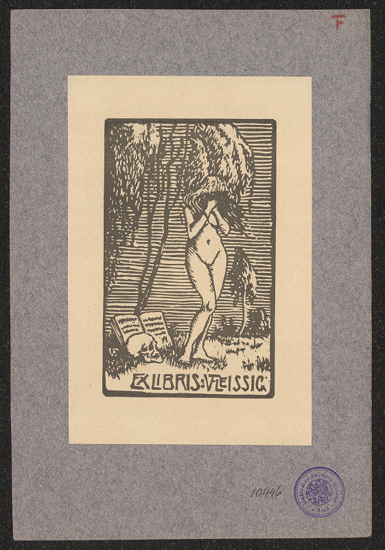 Vítězslav Fleissig – Fleissig V. 