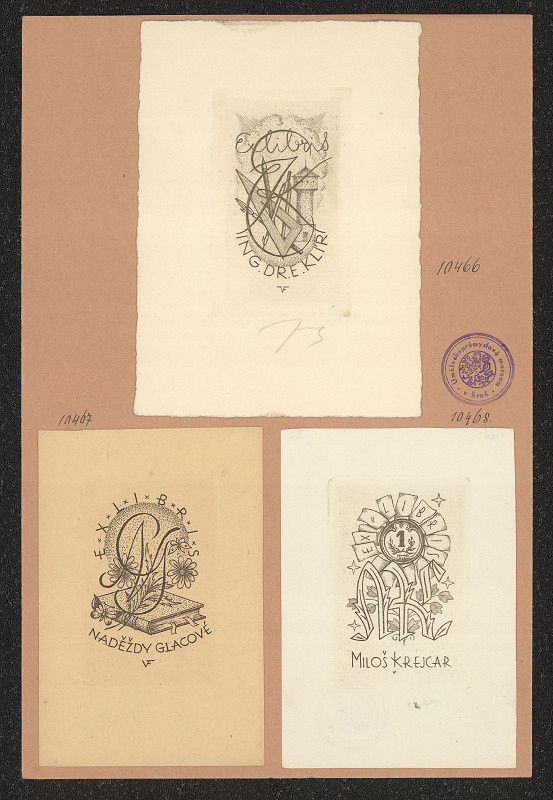 Vítězslav Fleissig – Glacová Naděžda 