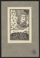 František Doubrava – Novák Karel 