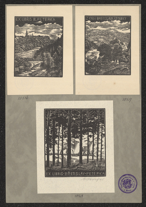 Antonín Doležal – Peterka B. 