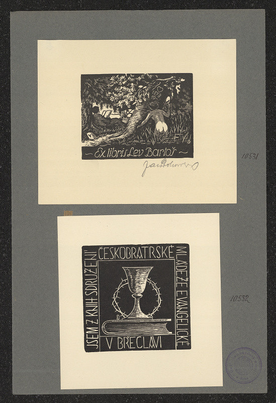 Jaroslav Dobrovolský – Bartoš Lev 