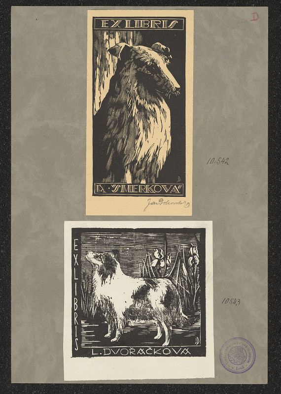 Jaroslav Dobrovolský – Dvořáčková L. 