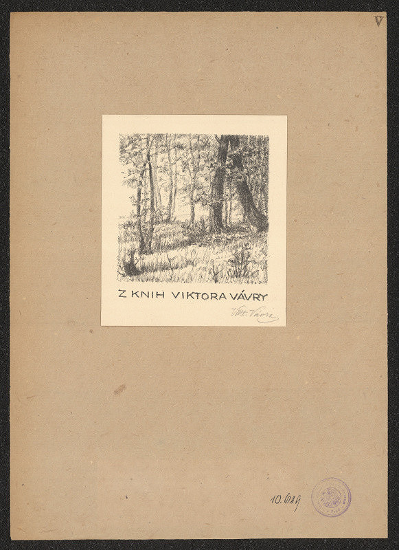 Viktor Vávra – Vávra Viktor 