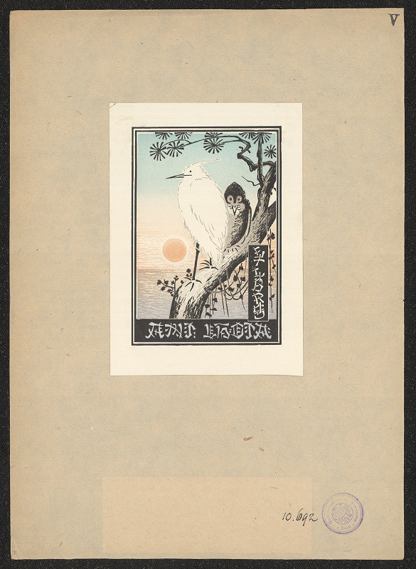 Viktor Vávra – Lhota Antonín 