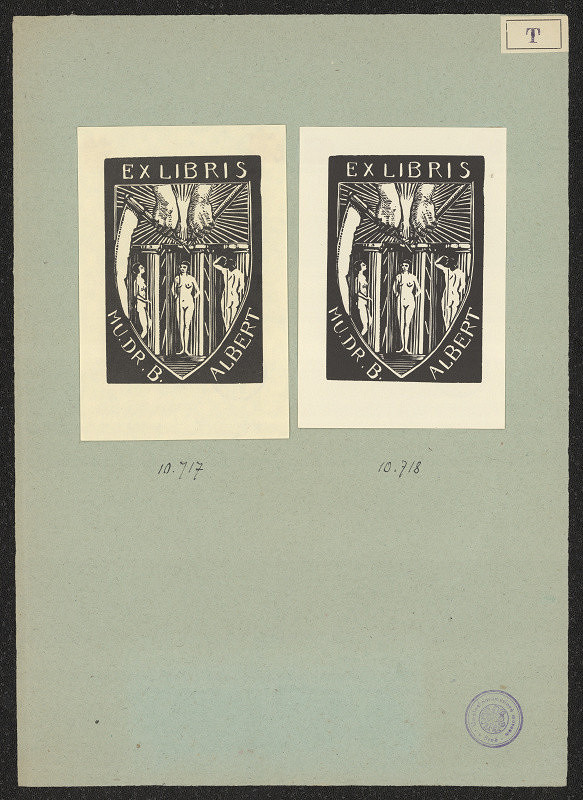 Karel Tichý – Mudr. B. Albert 