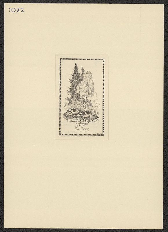 Ferdinand Staeger – Walter und Gertrud  Breza, Brno 