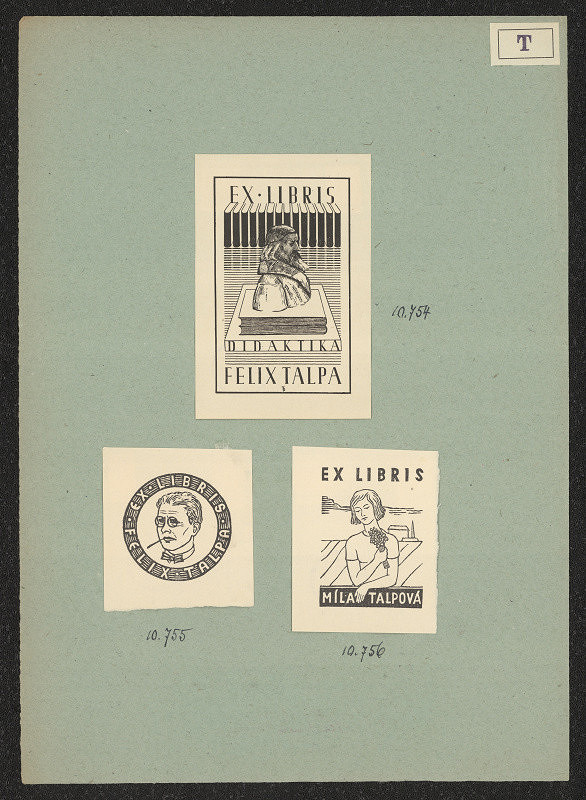 D. Tůma – Talpová Míla 