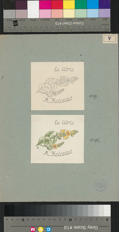 Dagmar Vacková – Helcelet Mojmír 