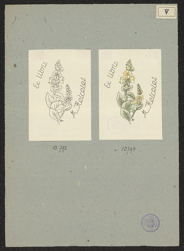 Dagmar Vacková – Helcelet Mojmír 