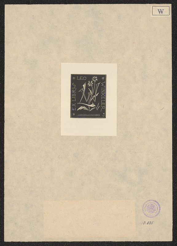 Remo Wolf – Winkeler Leo 