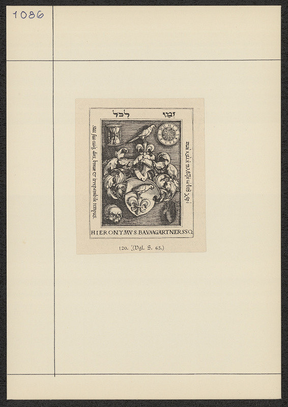 neznámý – Hieronymus Baumgartner SSV 