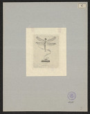 Alfred Cossmann – Ehrenfeld Hansi 