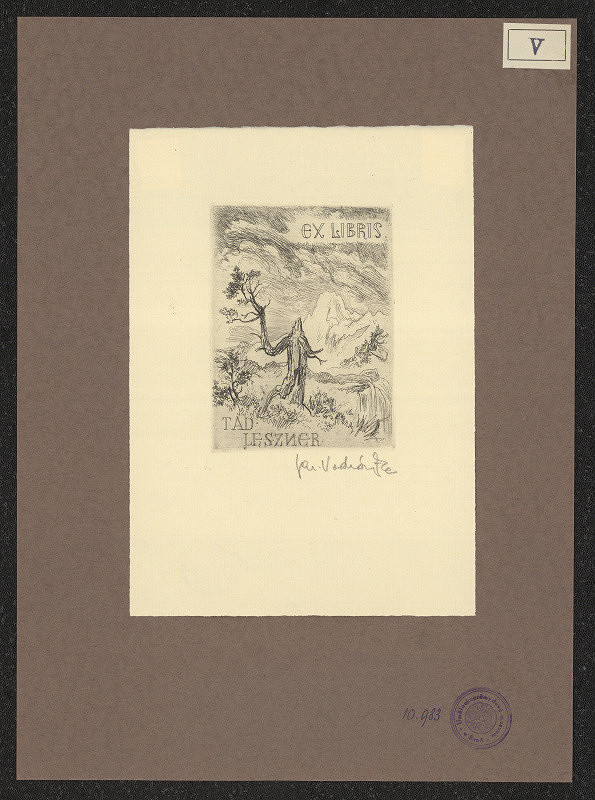 Jaroslav Vodrážka – Leszner Tadeus 