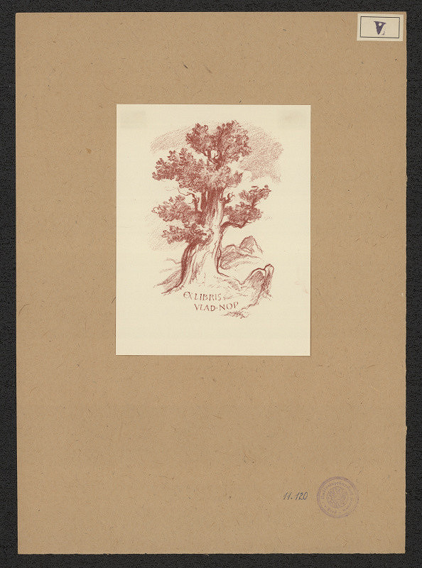 Jaroslav Vodrážka – Nop Vladimír 