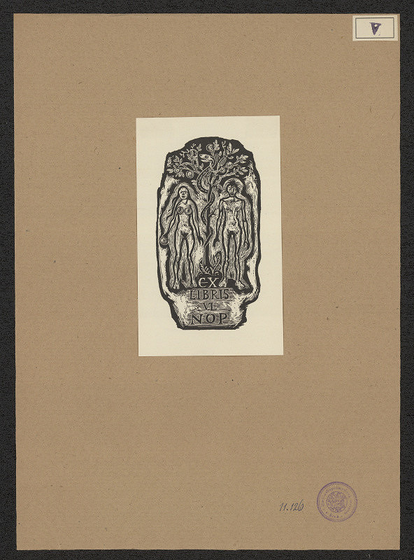 Jaroslav Vodrážka – Nop Vladimír 